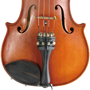 Violin / Cello