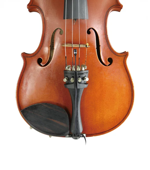 instruments-string_s